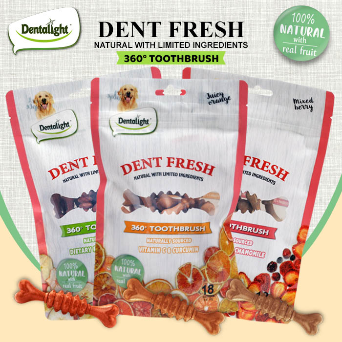 Dentalight Dent Fresh Fruits 360° Toothbrush - Dental - Treats